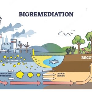 Bio Remediation